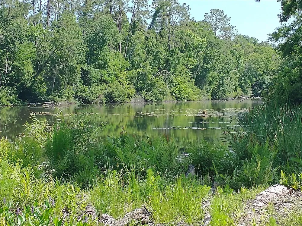 0000 EAGLE BOULEVARD Land O Lakes, FL 34639