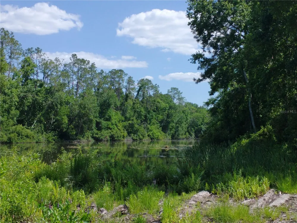 0000 EAGLE BOULEVARD Land O Lakes, FL 34639