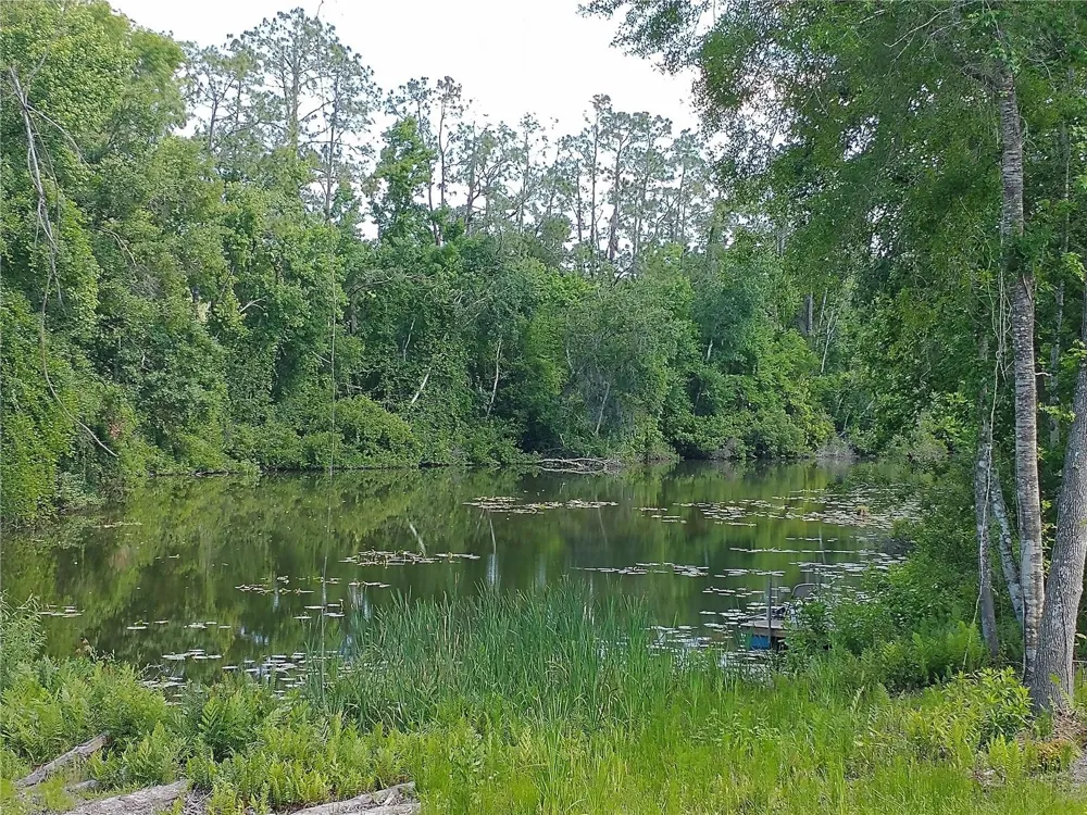 0000 EAGLE BOULEVARD Land O Lakes, FL 34639