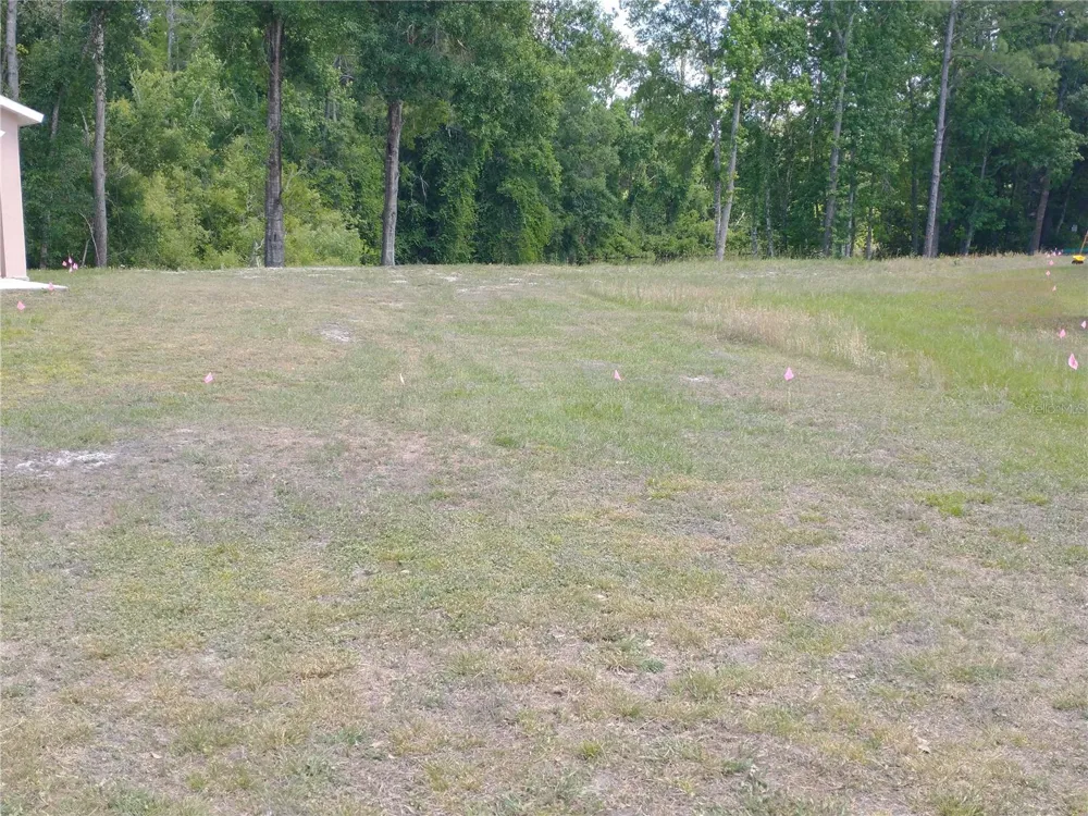 0000 EAGLE BOULEVARD Land O Lakes, FL 34639