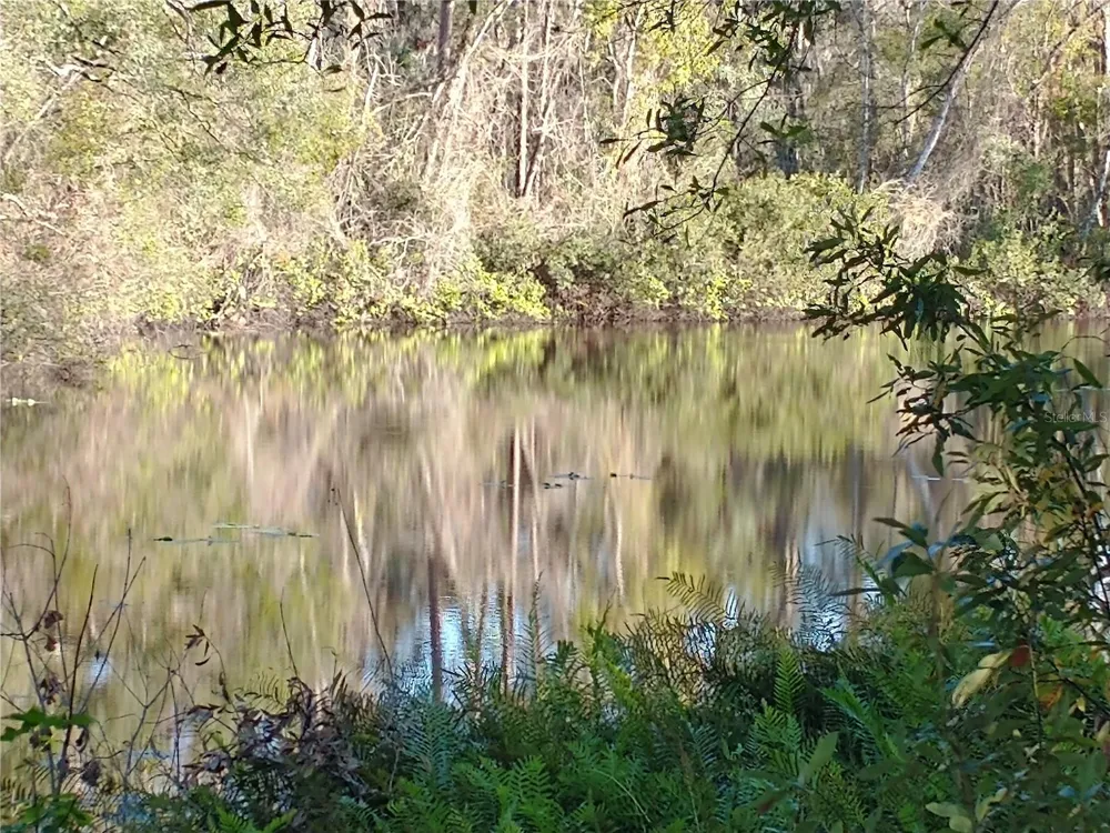 0000 EAGLE BOULEVARD Land O Lakes, FL 34639
