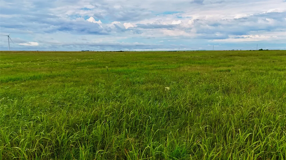 County Road 431 Muenster, TX 76252