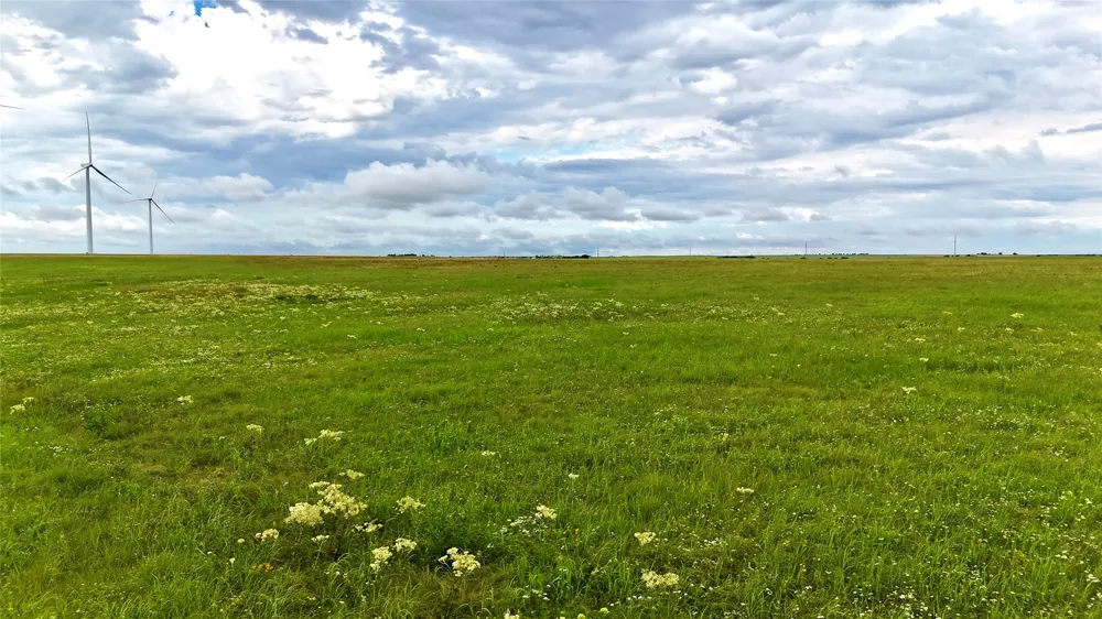 County Road 431 Muenster, TX 76252