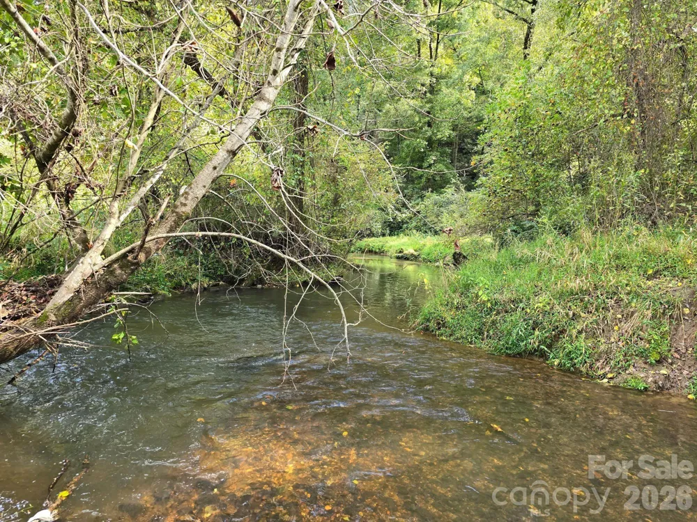 000 Cook Lane #24.87 Acres Mills River, NC 28759