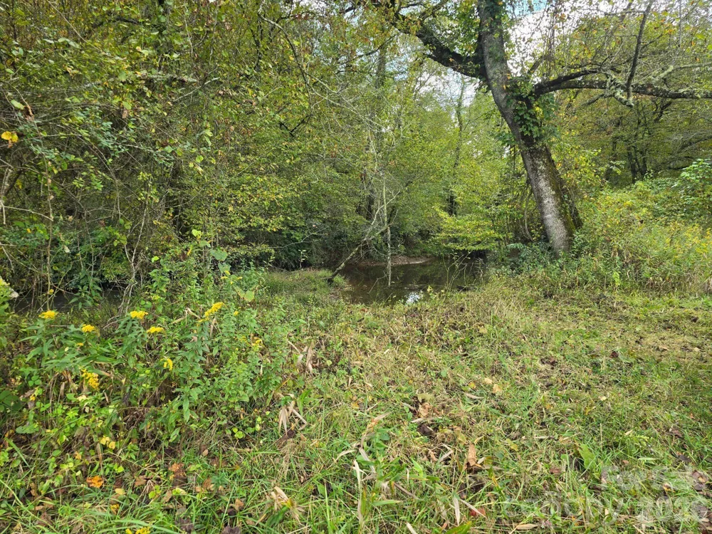 000 Cook Lane #24.87 Acres Mills River, NC 28759