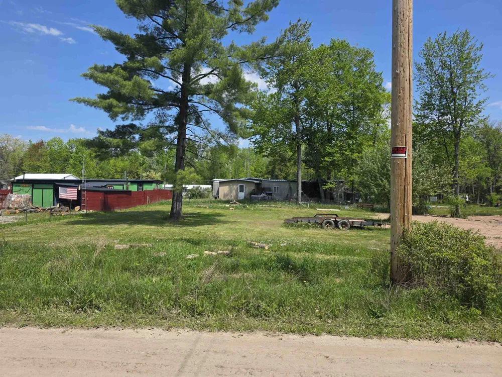 Pine Street Plainfield Township, MI 48739