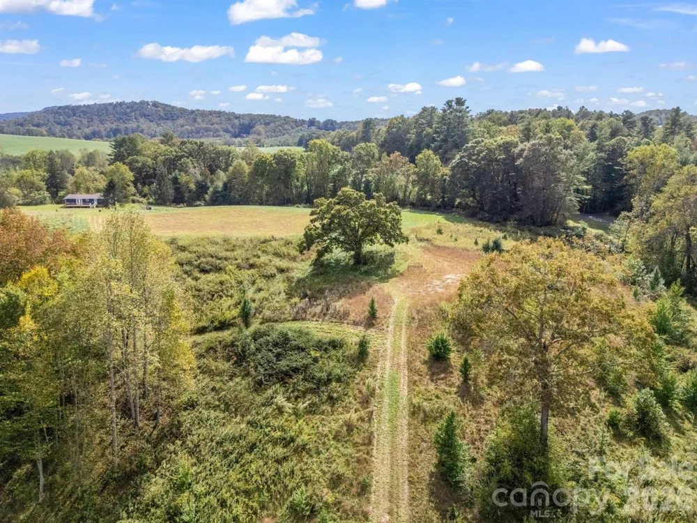 128 Cook Lane #(25 Acres) Mills River, NC 28759