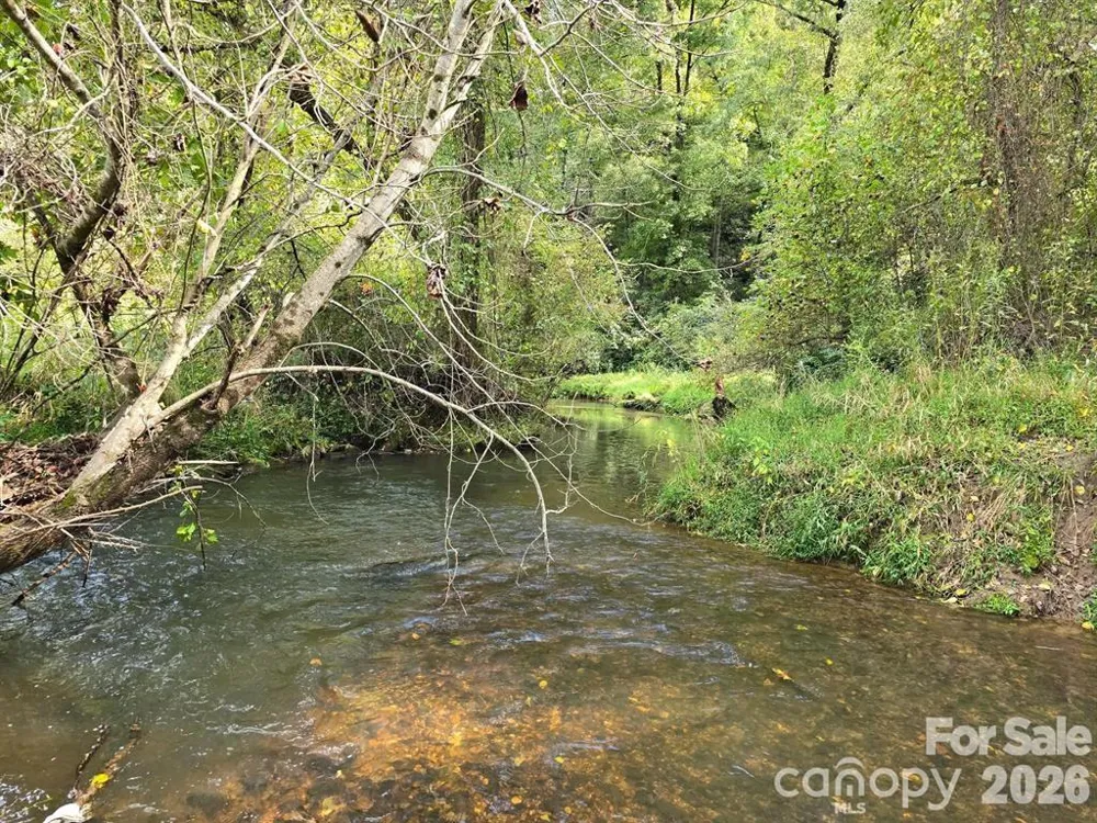 128 Cook Lane #(25 Acres) Mills River, NC 28759