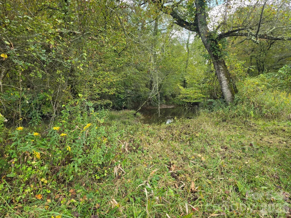 128 Cook Lane #(25 Acres) Mills River, NC 28759