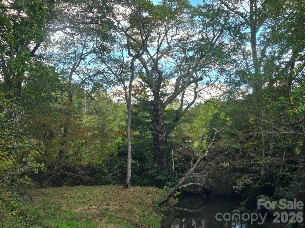 128 Cook Lane #(25 Acres) Mills River, NC 28759