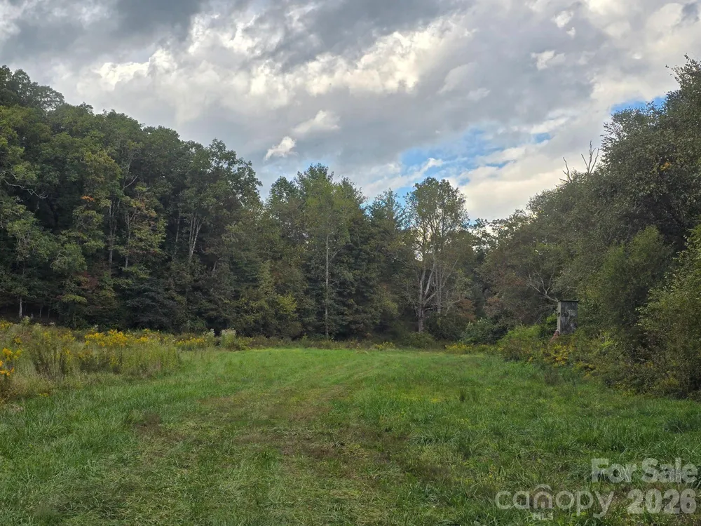 128 Cook Lane #(25 Acres) Mills River, NC 28759