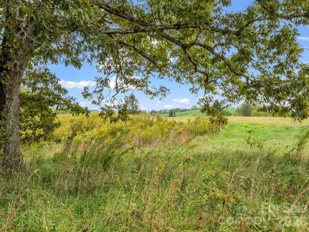 128 Cook Lane #(25 Acres) Mills River, NC 28759