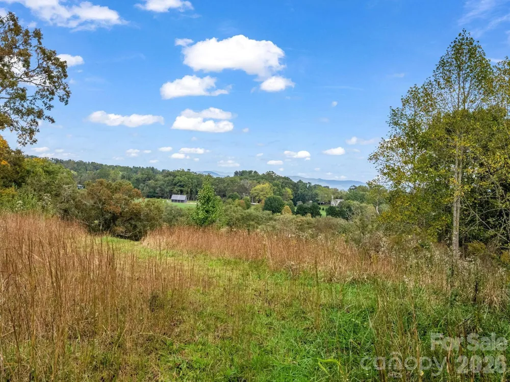 128 Cook Lane #(25 Acres) Mills River, NC 28759