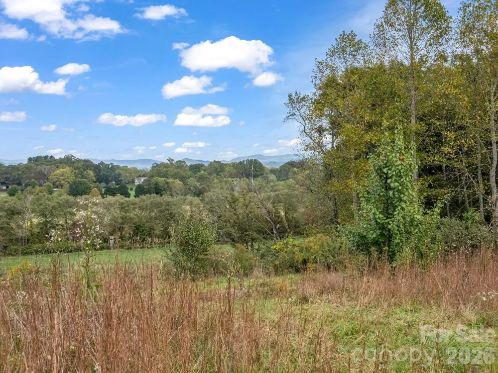 128 Cook Lane #(25 Acres) Mills River, NC 28759