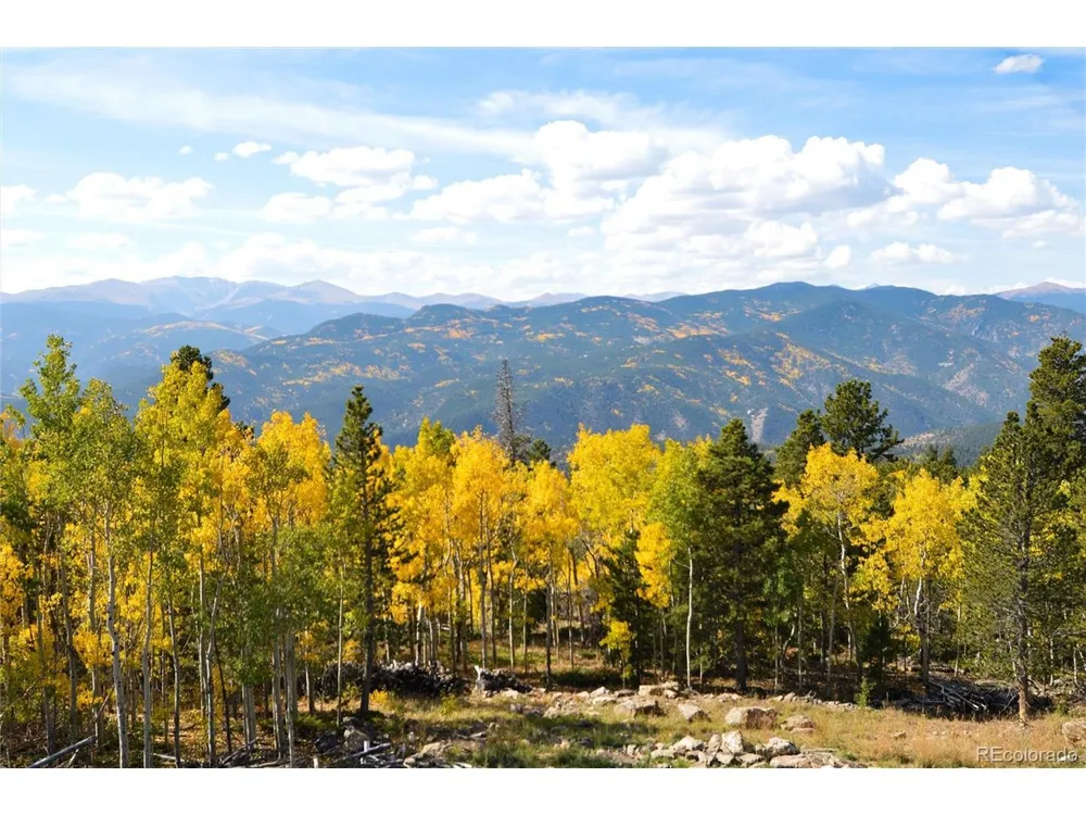 565 Bald Mountain Drive Central City, CO 80427