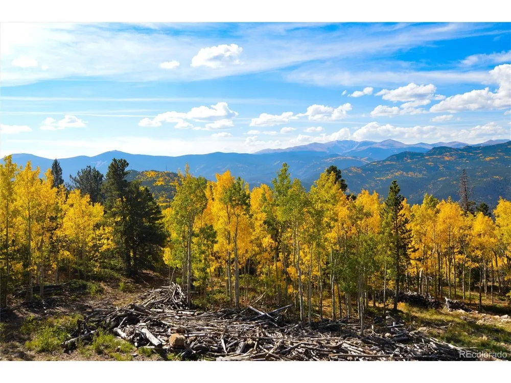 565 Bald Mountain Drive Central City, CO 80427
