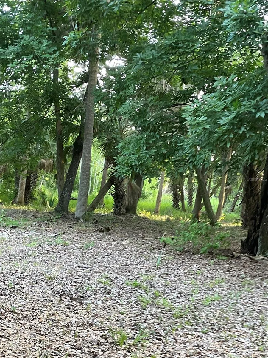 LAKE MARION ROAD W Haines City, FL 33844