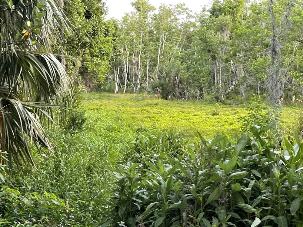 LAKE MARION ROAD W Haines City, FL 33844