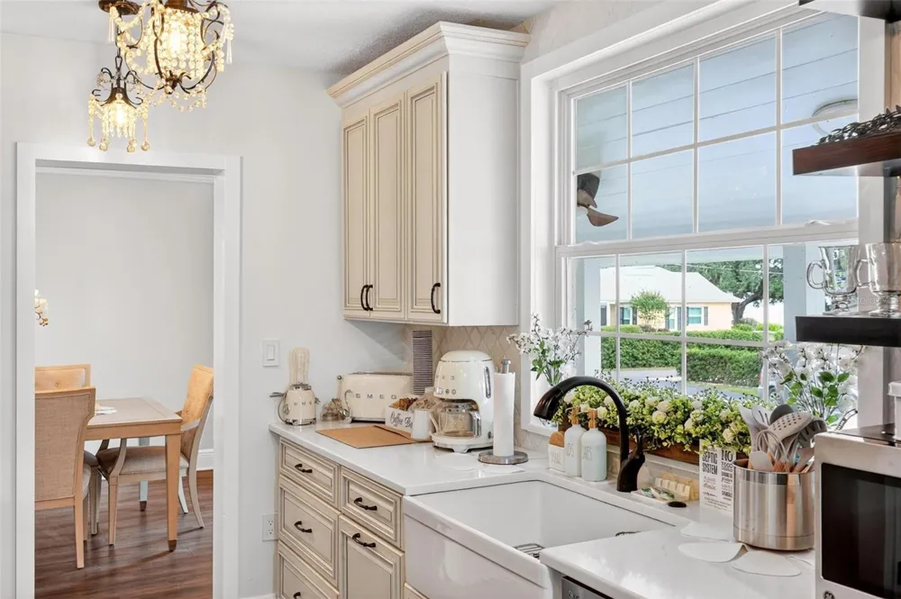 1099 GROVE AVENUE Mount Dora, FL 32757
