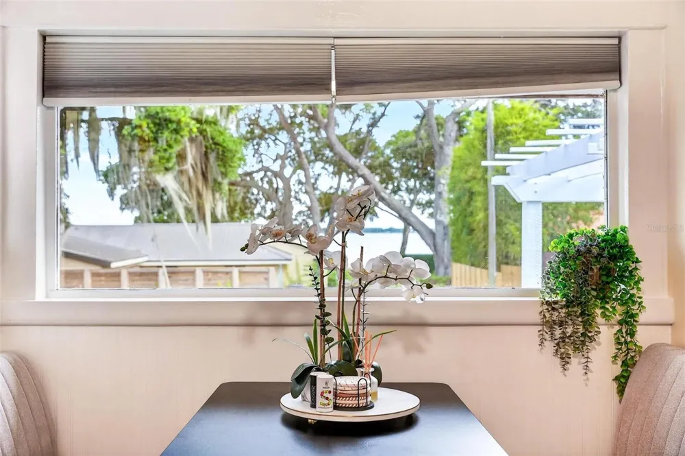 1099 GROVE AVENUE Mount Dora, FL 32757