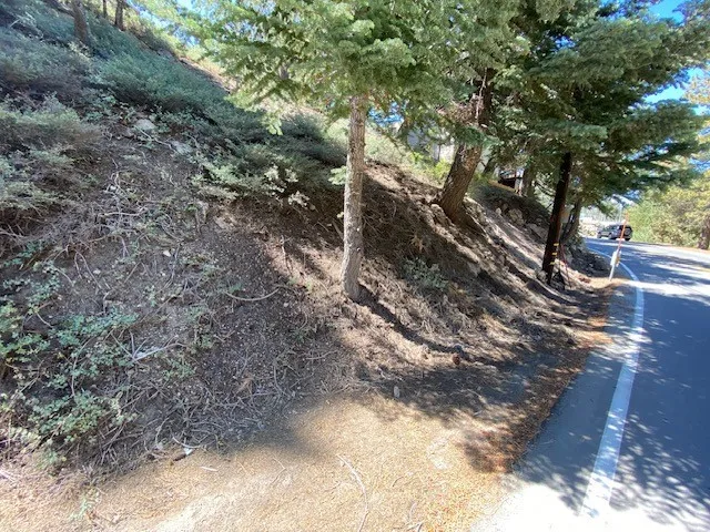 33351 Green Valley Lake Rd. Green Valley Lake, CA 92341