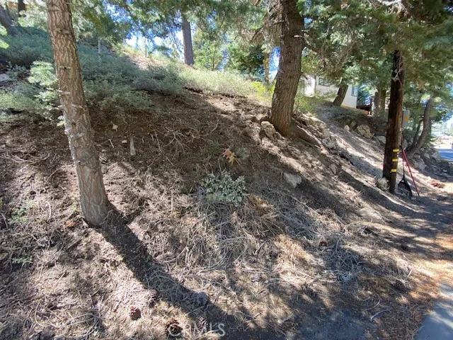 33351 Green Valley Lake Rd. Green Valley Lake, CA 92341