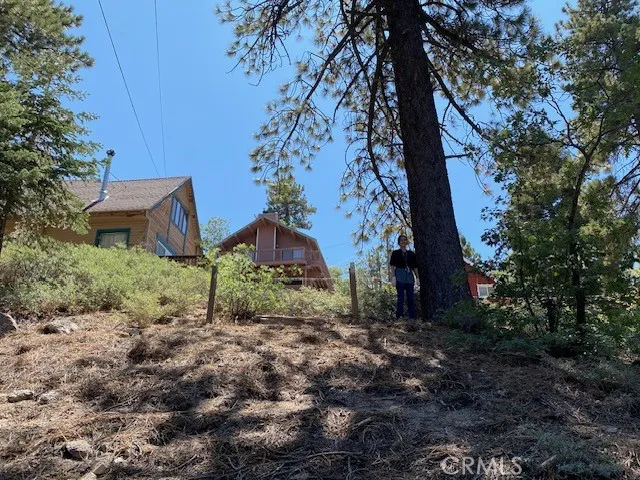 33351 Green Valley Lake Rd. Green Valley Lake, CA 92341