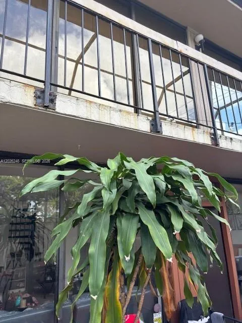 3190 Bird Ave #15 Coconut Grove, FL 33133
