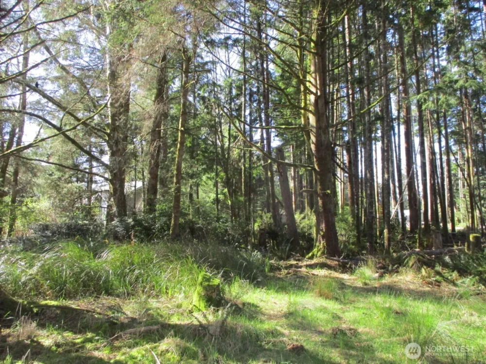 111 Olympic View Avenue NE Ocean Shores, WA 98569