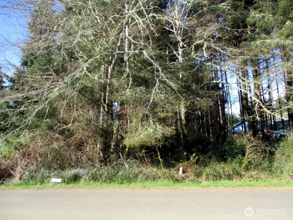 111 Olympic View Avenue NE Ocean Shores, WA 98569