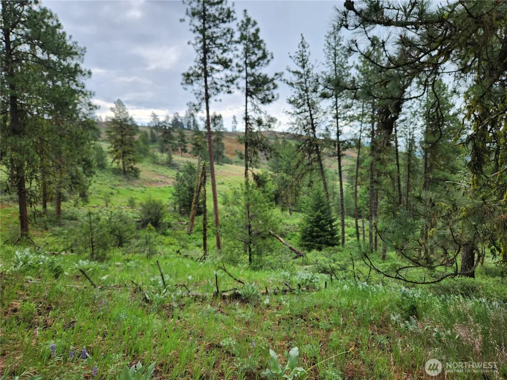 0 74 & 75 Gold Mt. Road Republic, WA 99166