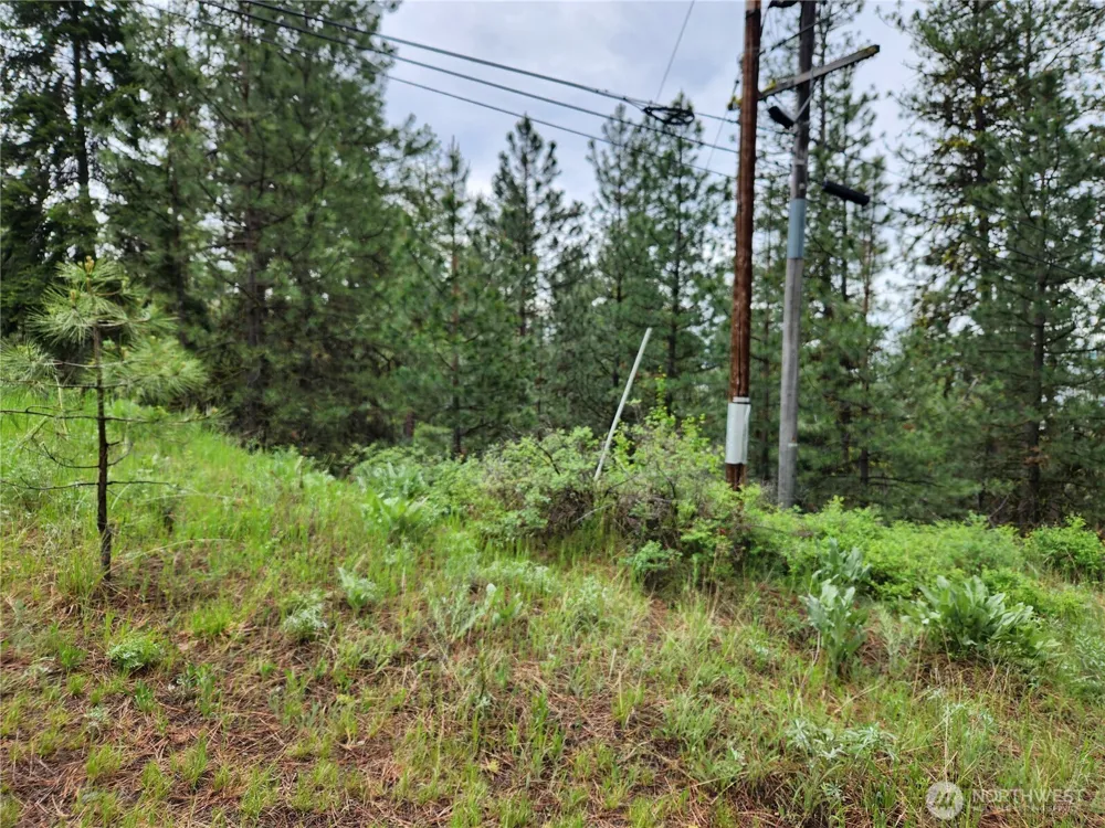 0 74 & 75 Gold Mt. Road Republic, WA 99166