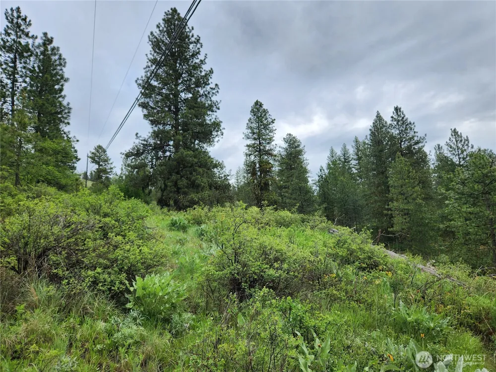 0 74 & 75 Gold Mt. Road Republic, WA 99166