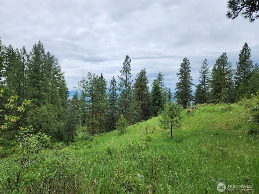 0 74 & 75 Gold Mt. Road Republic, WA 99166