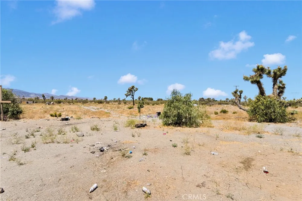 12352 Nugget Phelan, CA 92371
