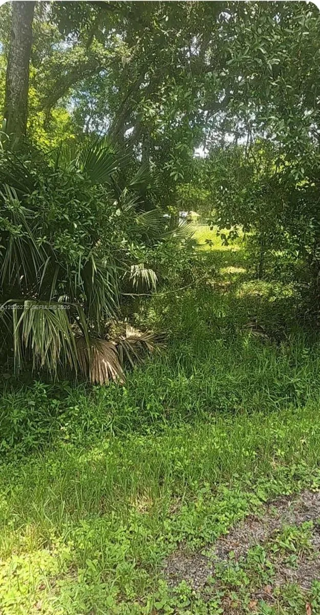 81 Magnolia  Ct Okeechobee Other City - In The State Of Florida, FL 34972