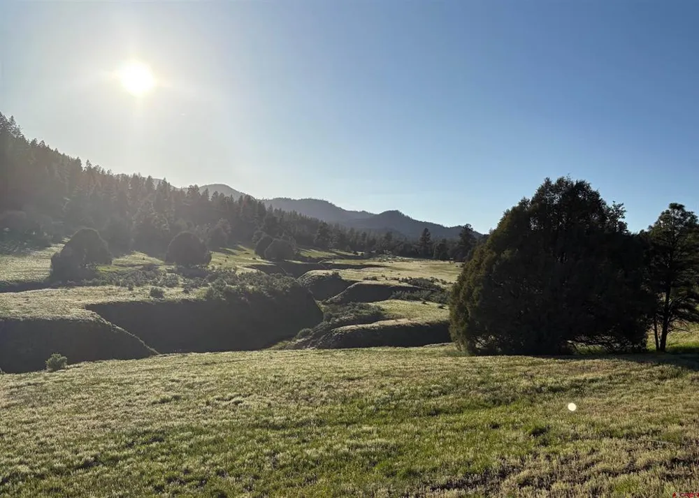 County Road 700 Pagosa Springs, CO 81147