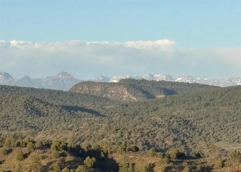 County Road 700 Pagosa Springs, CO 81147
