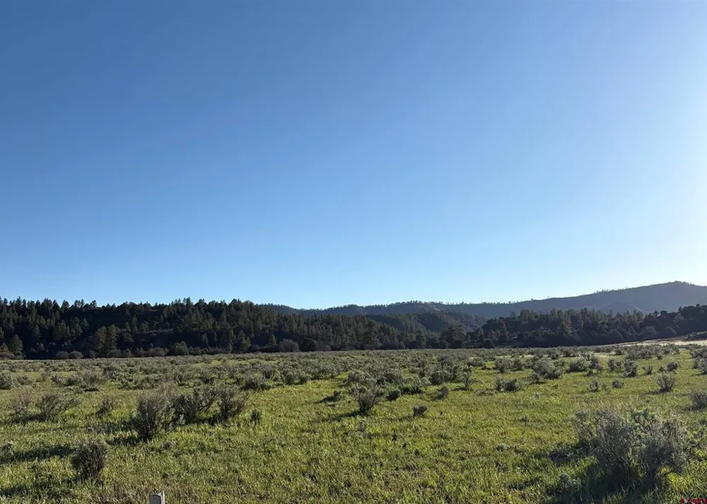 County Road 700 Pagosa Springs, CO 81147