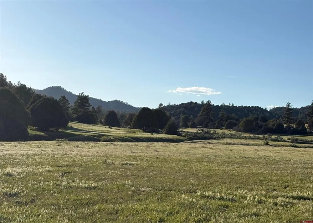 County Road 700 Pagosa Springs, CO 81147