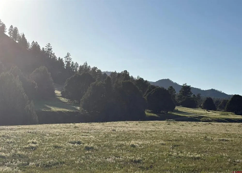 County Road 700 Pagosa Springs, CO 81147