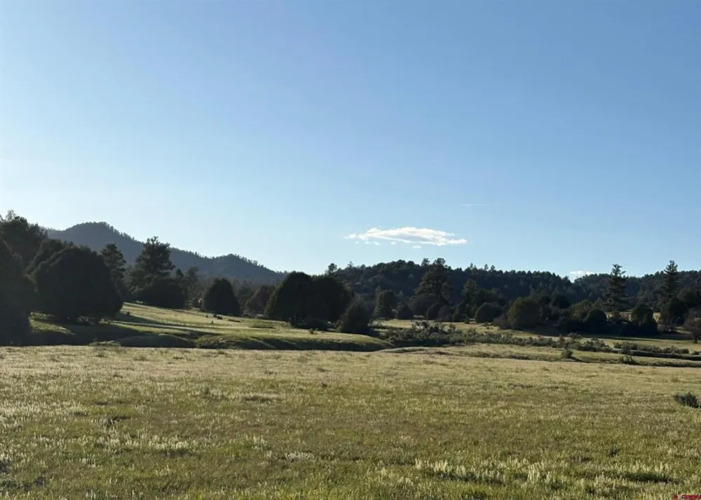 County Road 700 Pagosa Springs, CO 81147