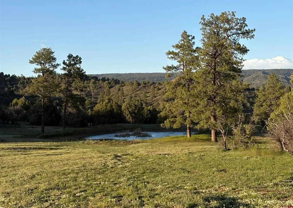 County Road 700 Pagosa Springs, CO 81147