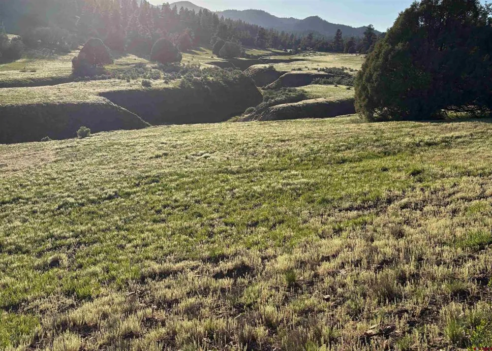County Road 700 Pagosa Springs, CO 81147
