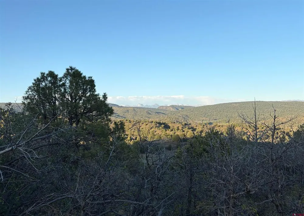County Road 700 Pagosa Springs, CO 81147
