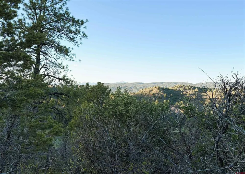 County Road 700 Pagosa Springs, CO 81147