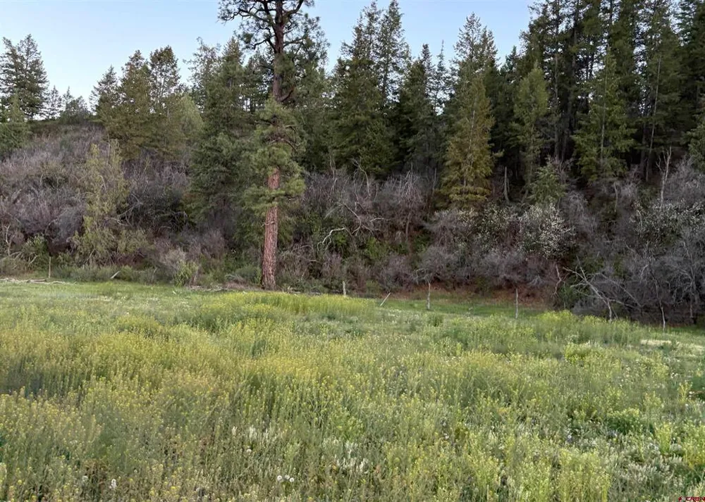 County Road 700 Pagosa Springs, CO 81147