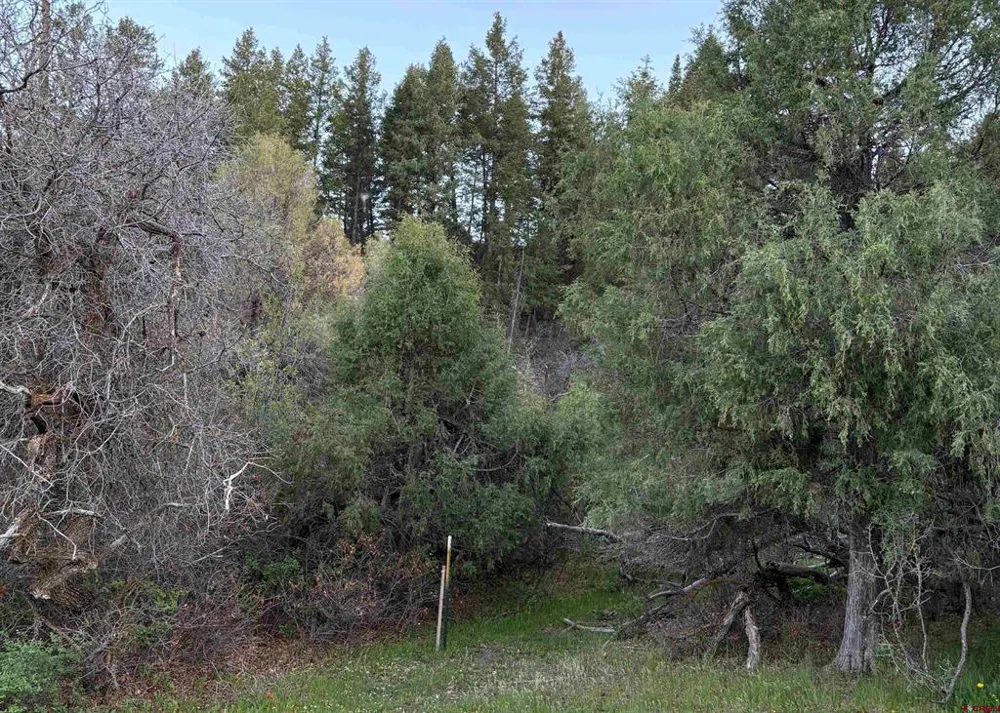 County Road 700 Pagosa Springs, CO 81147