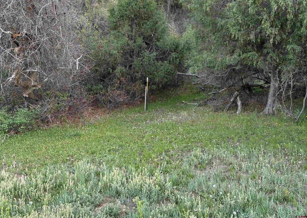 County Road 700 Pagosa Springs, CO 81147