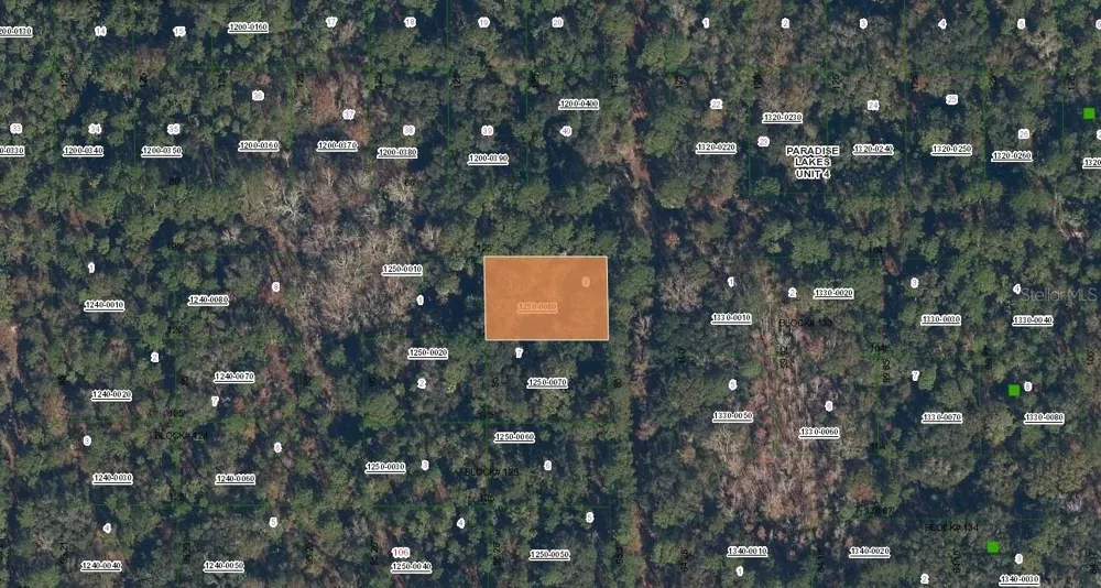 SPRUCE DRIVE Georgetown, FL 32139